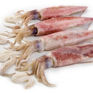 Kadamba fresh fish