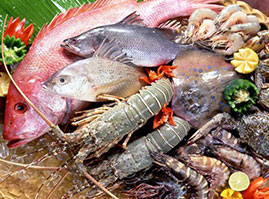 banner-offers-efish-chennai